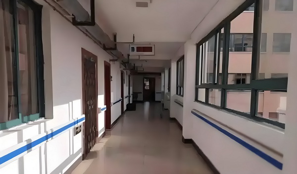 深圳入户流程办理_2025暑期档大盘票房连续10天破亿 天破亿一辆野猪快车撞上城际
